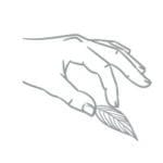 savoir faire savoir faire